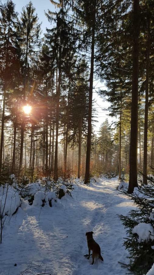 Im Erzgebirge Wandern, Fahrrad Fahren Oder Entspannen Ehrenfriedersdorf Екстериор снимка