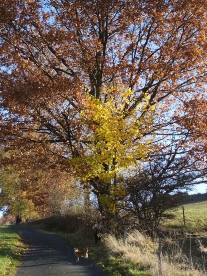 Im Erzgebirge Wandern, Fahrrad Fahren Oder Entspannen Ehrenfriedersdorf Екстериор снимка