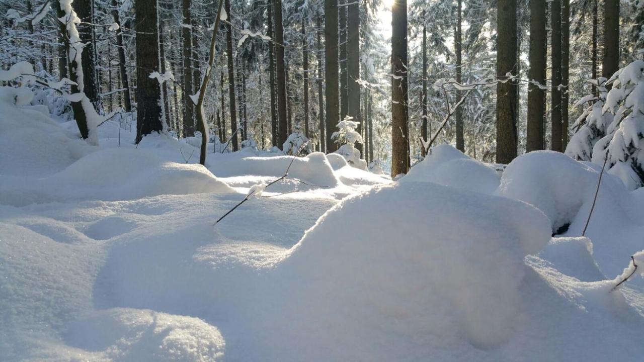 Im Erzgebirge Wandern, Fahrrad Fahren Oder Entspannen Ehrenfriedersdorf Екстериор снимка